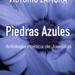 Merlín Mermelada - Libro - Piedras azules